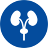 Kidney